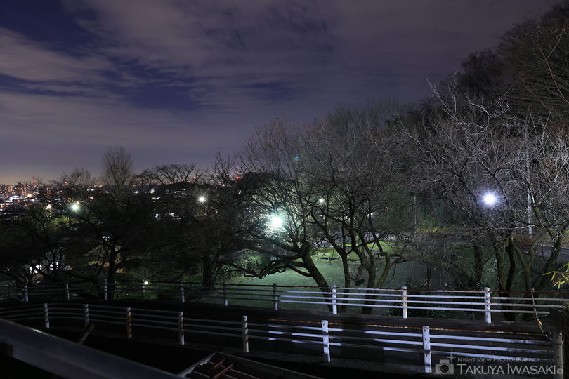 大倉山公園の夜景スポット写真（6）