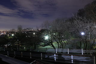 大倉山公園の夜景スポット写真（6）class=