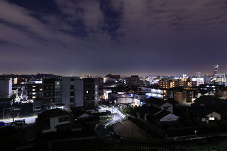 新羽丘陵公園の夜景スポット写真（1）class=
