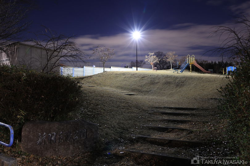 新羽丘陵公園の夜景スポット写真（6）