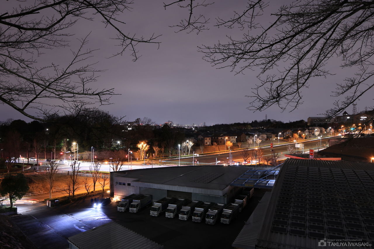 よこやまの道 丘の上広場公園の夜景スポット写真（1）