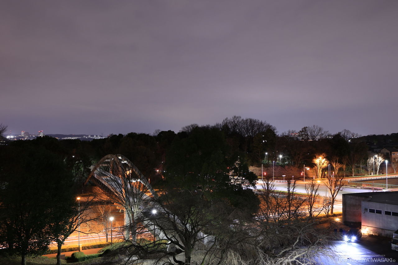 よこやまの道 丘の上広場公園の夜景スポット写真（2）