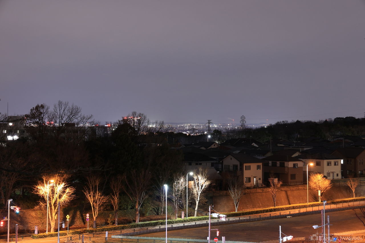 よこやまの道 丘の上広場公園の夜景スポット写真（3）