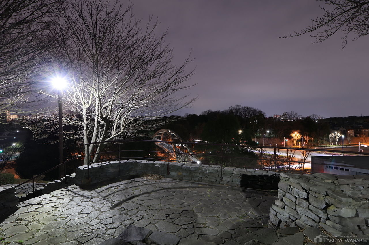 よこやまの道 丘の上広場公園の夜景スポット写真（5）
