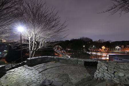 よこやまの道 丘の上広場公園の夜景スポット写真（5）class=