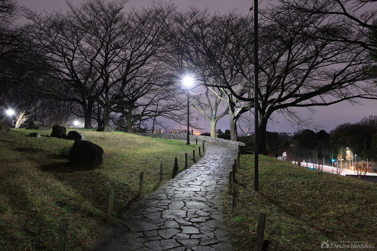 よこやまの道 丘の上広場公園の夜景スポット写真（6）
