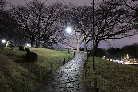 よこやまの道 丘の上広場公園の夜景スポット写真（6）class=