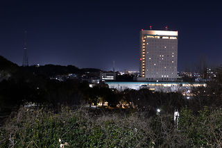 浜松城公園 富士見櫓の夜景スポット写真（2）class=