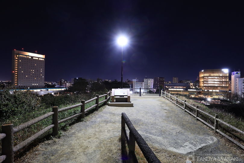 浜松城公園 富士見櫓の夜景スポット写真（4）