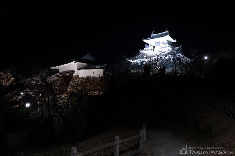 浜松城公園 富士見櫓の夜景スポット写真（6）