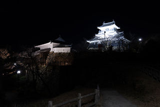 浜松城公園 富士見櫓の夜景スポット写真（6）class=