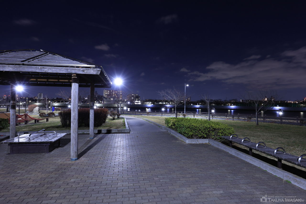東立石緑地公園の夜景スポット写真（5）