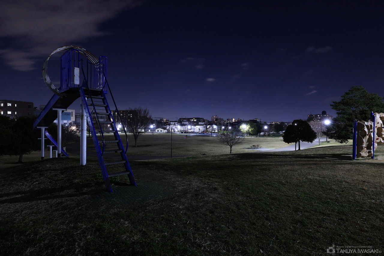 東立石緑地公園の夜景スポット写真（6）