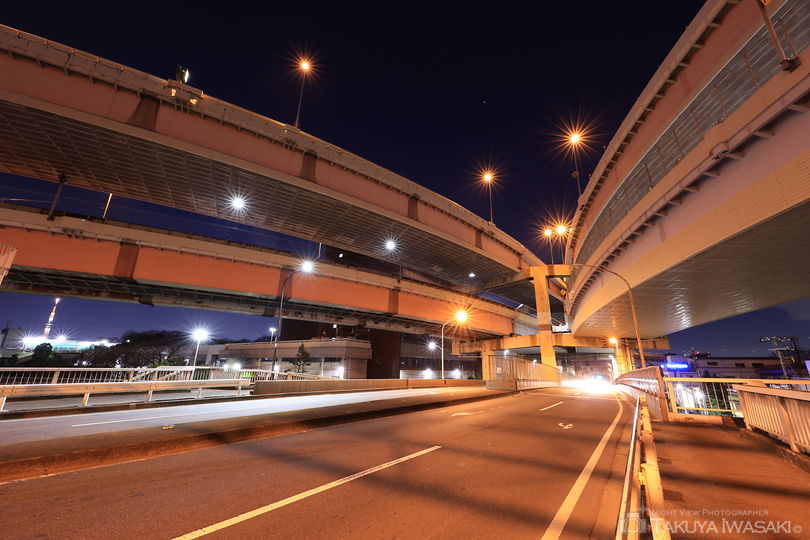 新水戸橋の夜景スポット写真（3）