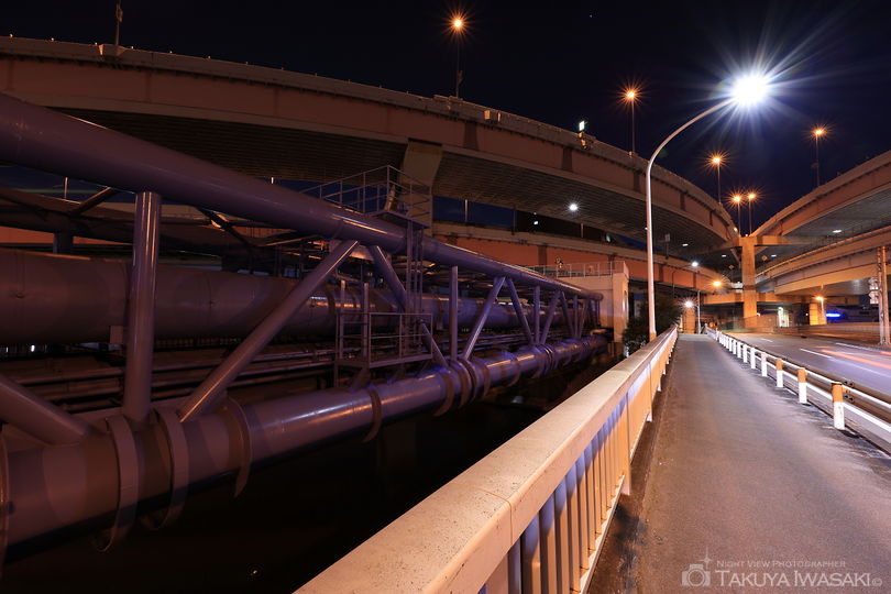 新水戸橋の夜景スポット写真（5）