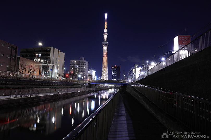 北十間川 遊歩道の夜景スポット写真（1）