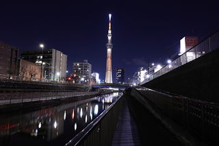 北十間川 遊歩道の夜景スポット写真（1）class=
