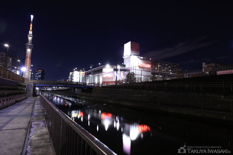 北十間川 遊歩道の夜景スポット写真（2）