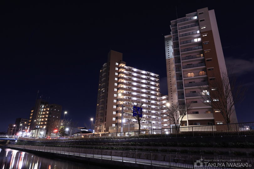 北十間川 遊歩道の夜景スポット写真（3）