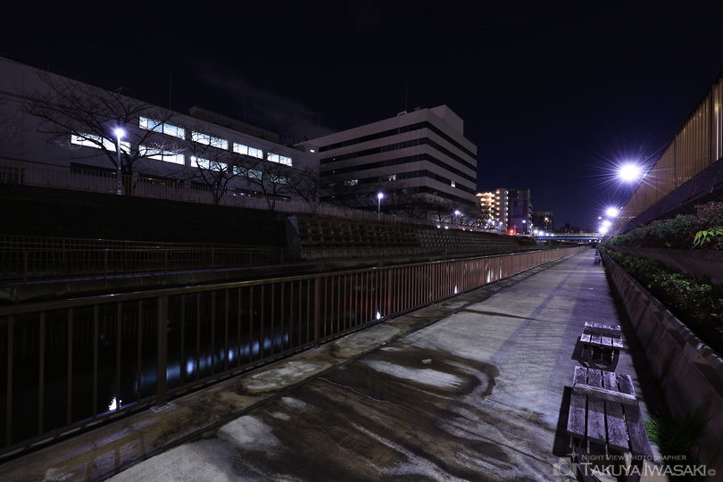 北十間川 遊歩道の夜景スポット写真（4）