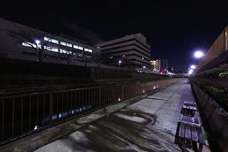 北十間川 遊歩道の夜景スポット写真（4）class=