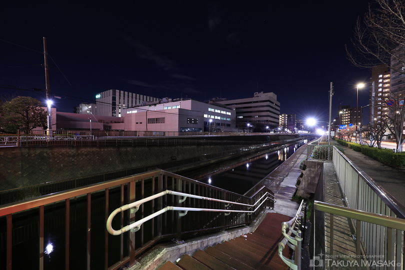 北十間川 遊歩道の夜景スポット写真（5）