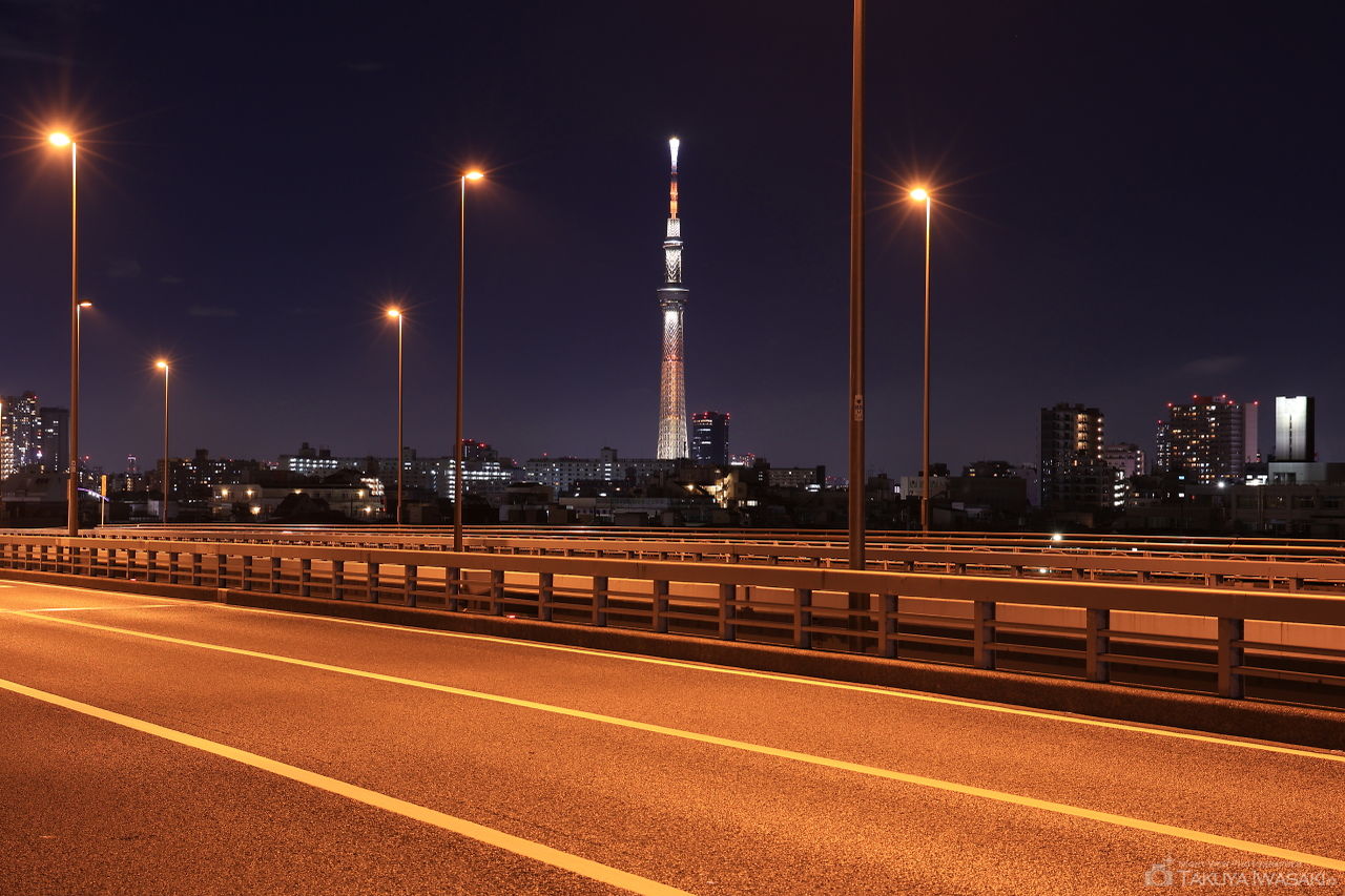 新小松川大橋の夜景スポット写真（5）