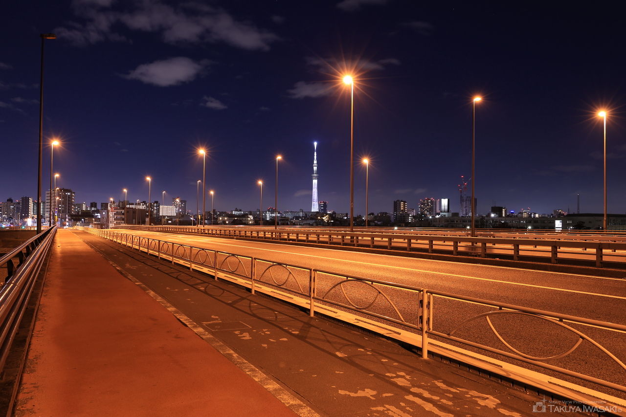 新小松川大橋の夜景スポット写真（6）