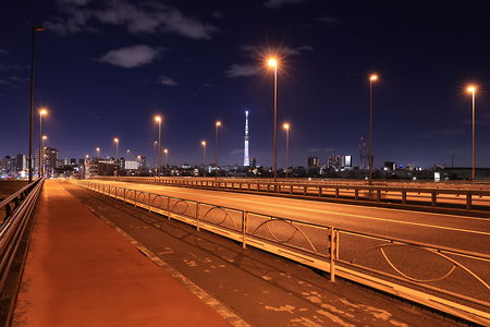 新小松川大橋の夜景スポット写真（6）class=