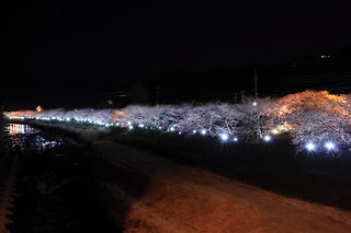 河津川の夜景スポット写真（1）class=