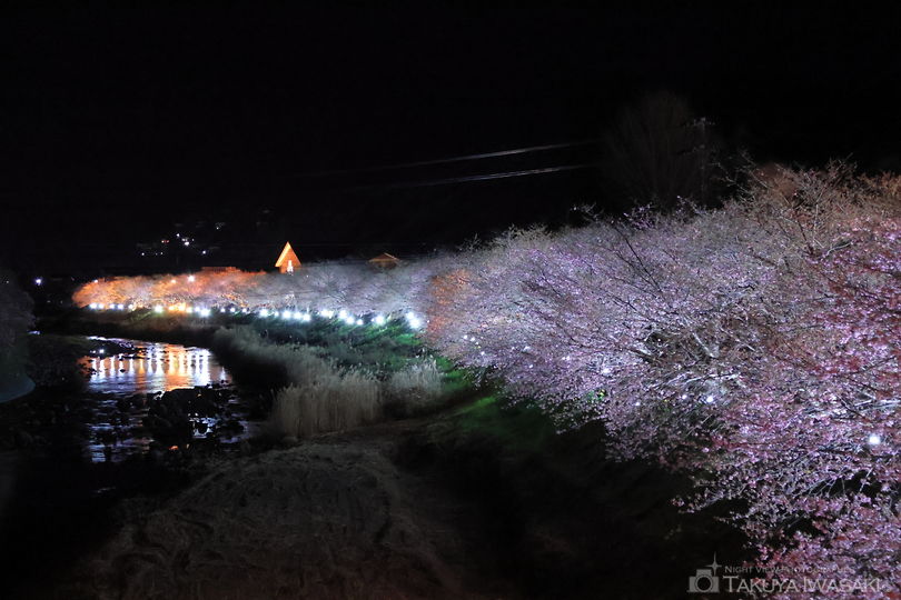 河津川の夜景スポット写真（2）