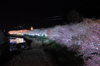 河津川の夜景スポット写真（2）class=