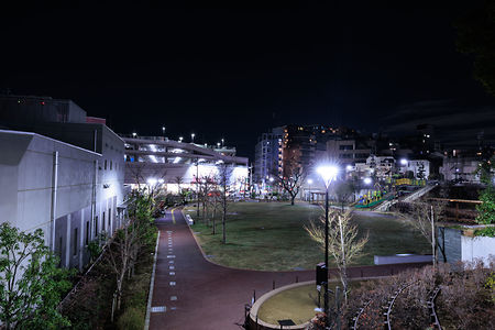 広町みらい公園の夜景スポット写真（3）class=