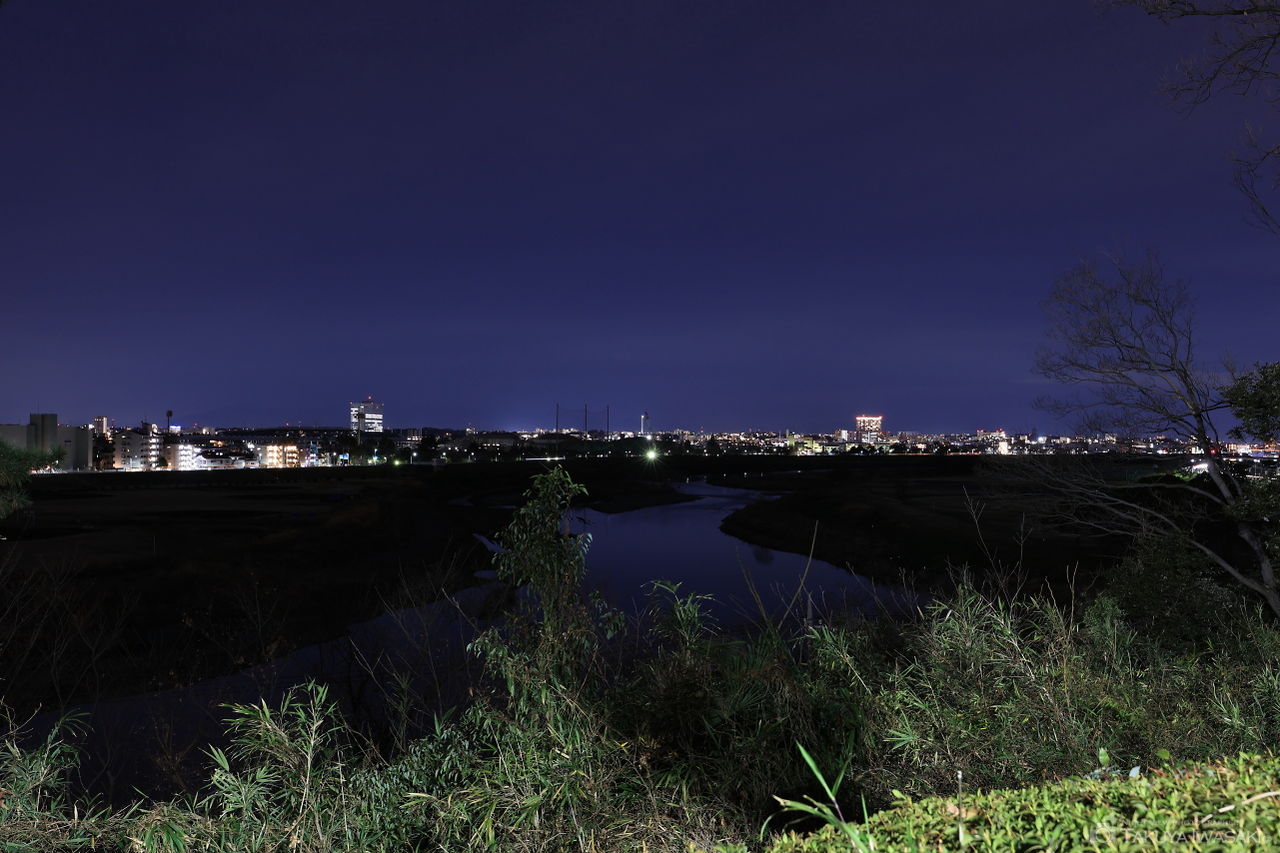 多摩川台公園の夜景スポット写真（1）