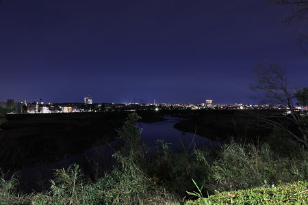多摩川台公園の夜景スポット写真（1）class=