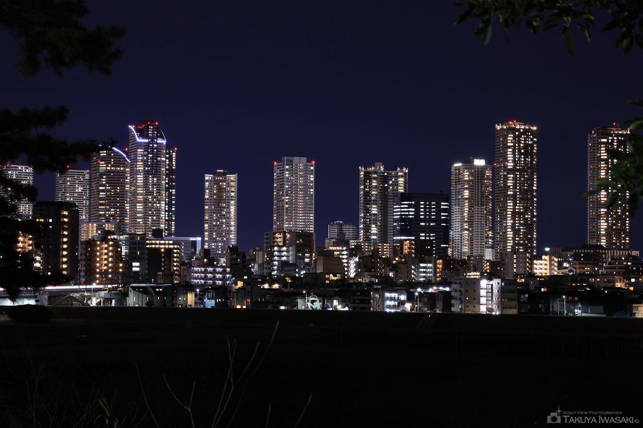 多摩川台公園の夜景スポット写真（2）