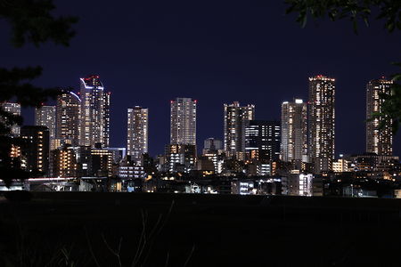 多摩川台公園の夜景スポット写真（2）class=