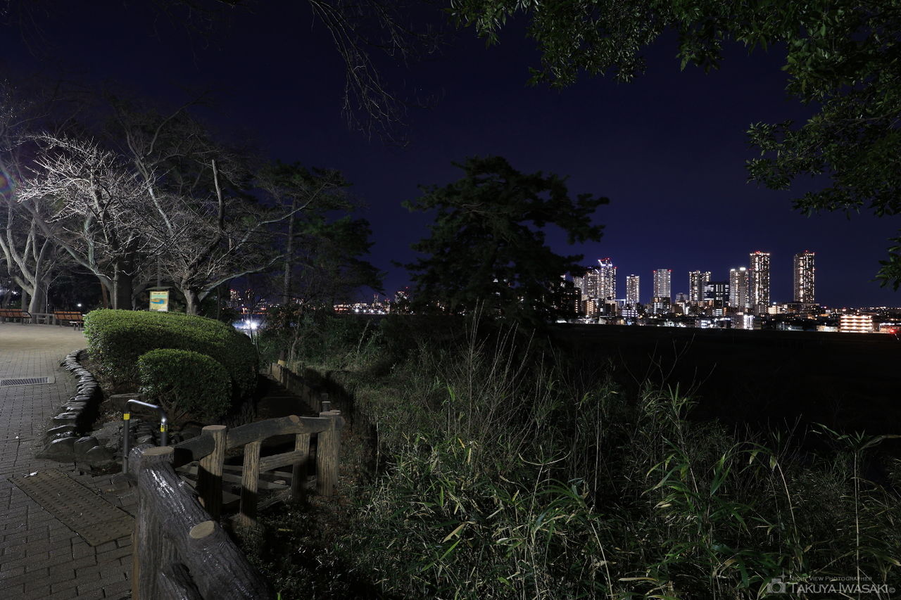 多摩川台公園の夜景スポット写真（3）