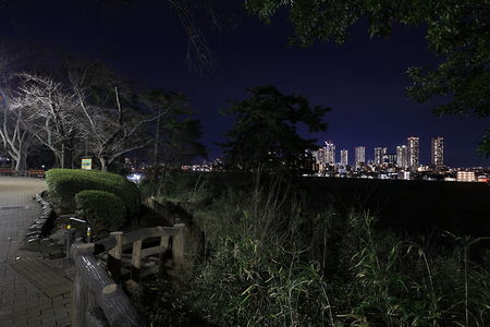 多摩川台公園の夜景スポット写真（3）class=