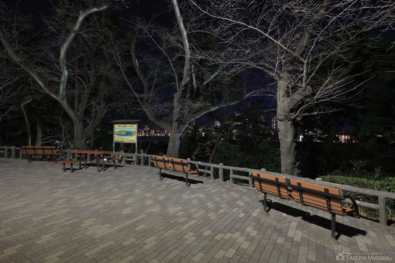 多摩川台公園の夜景スポット写真（4）